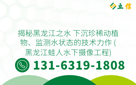 揭秘黑龙江之水 下沉珍稀动植物、监测水状态的技术力作 (黑龙江蛙人水下摄像工程)
