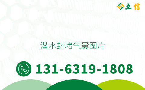 潜水封堵气囊图片