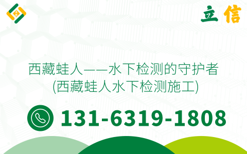 西藏蛙人——水下检测的守护者 (西藏蛙人水下检测施工)